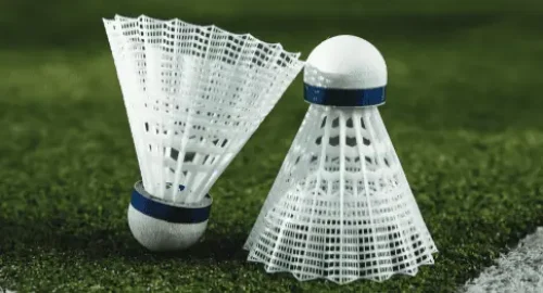 ashiana mulberry Badminton