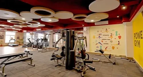 ashiana mulberry gym